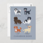 Canadese honden briefkaart (Voorkant / Achterkant)