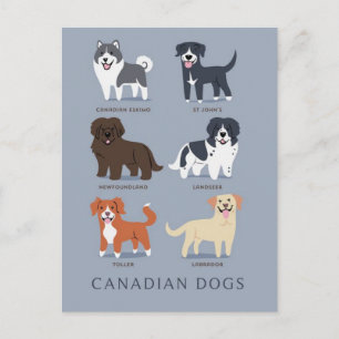 Canadese honden briefkaart