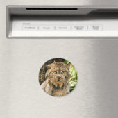 Canadese Lynx 4200e Magneet (Insitu (Vaatwasser))