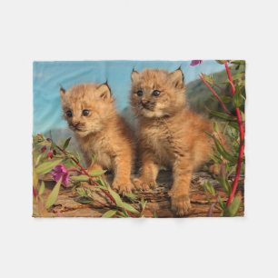 Canadese Lynx Jongen, Alaska Fleece Deken