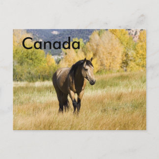 Canadese postkaart