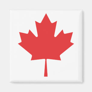 canadese rode bladesdoorn magneet