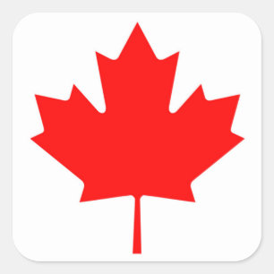 Canadese vlag van Canadese roodmakreelschaar Vierkante Sticker