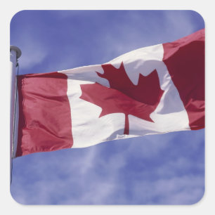 Canadese vlag vierkante sticker