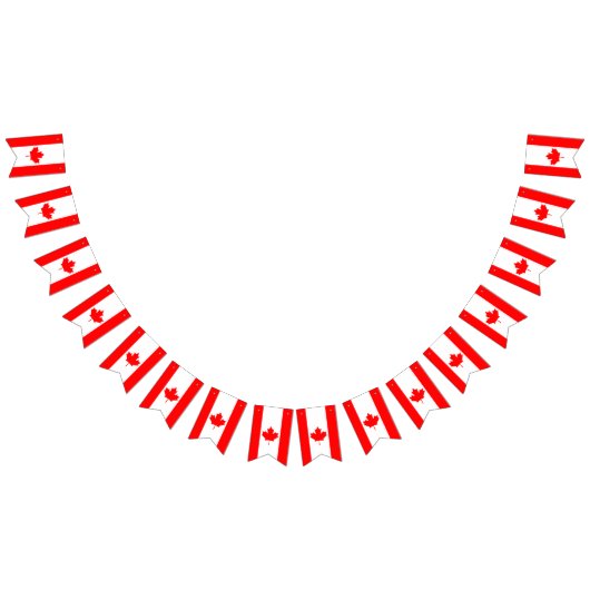 Canadese vlag vlaggetjes (Alle)