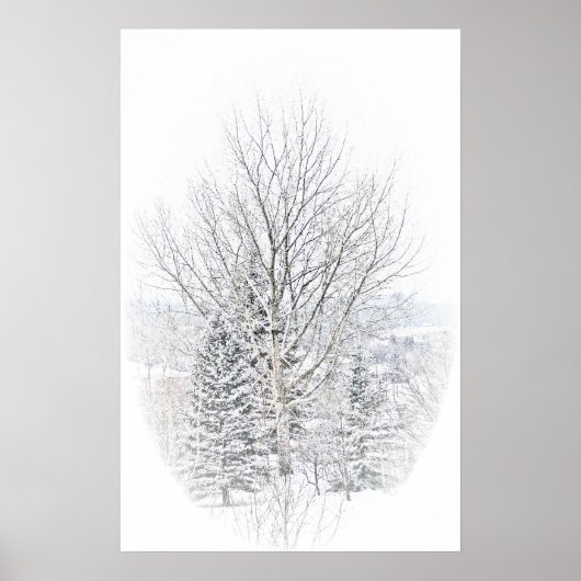 Canadese winter poster (Voorkant)