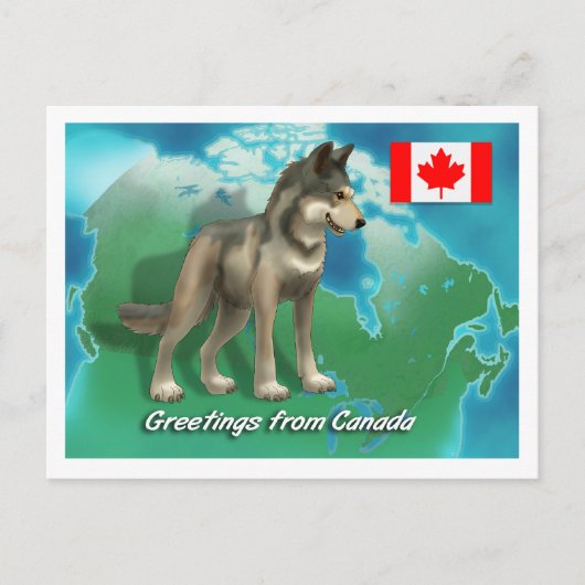 Canadese Wolf Briefkaart (Voorkant)