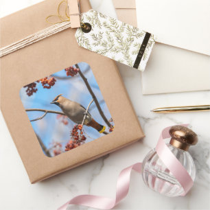 Canadian Brown Bohemian Waxing Bird Photography Vierkante Sticker