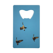 Canadian geese (Devant)