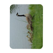 Canadian Geese Family Flexible Magnet Magneet (Verticaal)