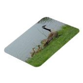 Canadian Geese Family Flexible Magnet Magneet (Linkerzijde)