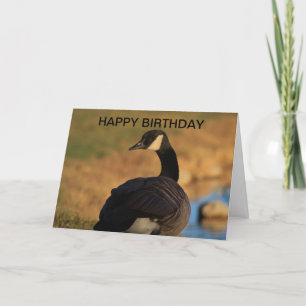 Canadian Goose Birthday Kaart