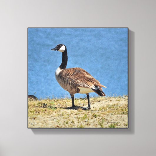 Canadian Goose Canva Wrap Print (Voorkant)