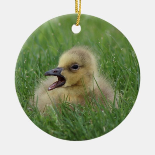 Canadian Goose Chick Keramisch Ornament (Voorkant)