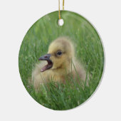 Canadian Goose Chick Keramisch Ornament (Links)