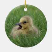 Canadian Goose Chick Keramisch Ornament (Achterkant)