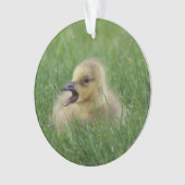 Canadian Goose Chick Ornament (voorkant)