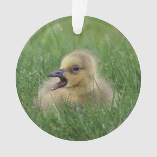 Canadian Goose Chick Ornament (voorkant)