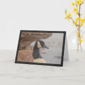 Canadian Goose Portrait Kaart (Gele Bloem)