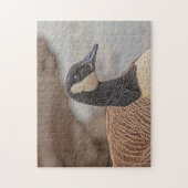 Canadian Goose Portrait Legpuzzel (Verticaal)
