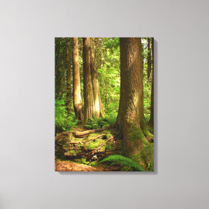 Canadian Landscape West Coast Forest Art Print