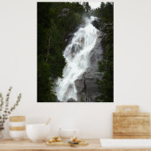 Canadian Landscape West Coast Forest Art Print (Keuken)