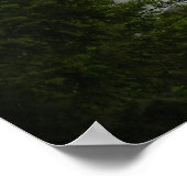 Canadian Landscape West Coast Forest Art Print (Hoek)