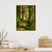 Canadian Landscape West Coast Forest Art Print (Keuken)