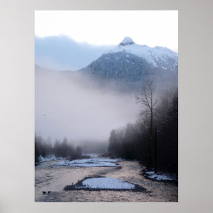 Canadian Landscape West Coast Forest Art Print