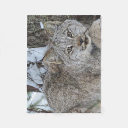 Canadian Lynx Fleece Blanket Deken (Voorkant)