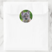 Canadian Lynx Kitten Ronde Sticker (Tas)