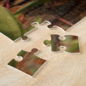 Canadian Lynx Kittens, Alaska Legpuzzel (Zijkant)