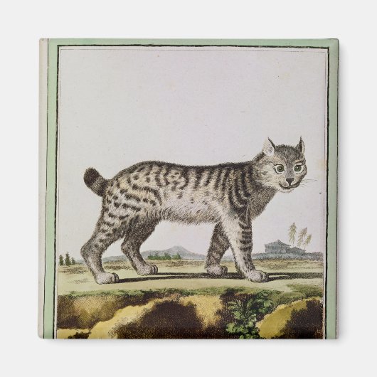 Canadian Lynx Magneet (Voorkant)