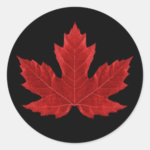 Canadian Maple Leaf Sticker