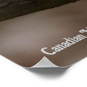 Canadian Marble Fox Poster (Hoek)