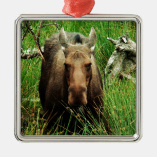 Canadian Moose Metalen Ornament