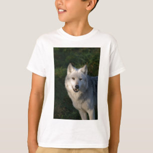 Canadian Timber Wolf Kinder Tee Shirt