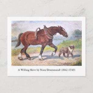 Canal barge paard en hond briefkaart