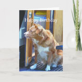 CANAL BOATS KAART (Voorkant)