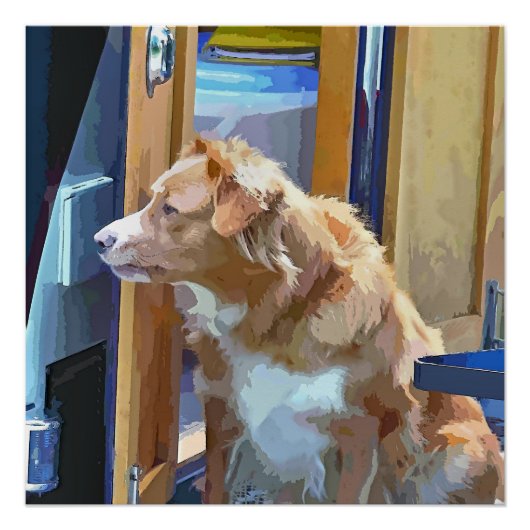 CANAL BOATS PERFECT POSTER (Voorkant)