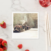 CANAL BOATS SERVETTEN (Insitu)