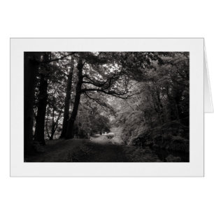 Canal, Bute Park, Cardiff, Pays de Galles (Bordé)