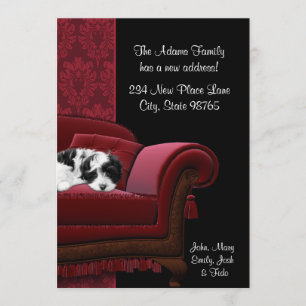 Canapé de marionnette Changement d'adresse Cartes 