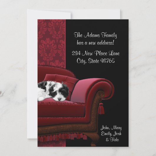 Canapé de marionnette Changement d'adresse Cartes (Devant)