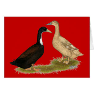 Canard à couchage hybride