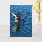 Canard ailé, Carte de voeux vierge (Fleur jaune)