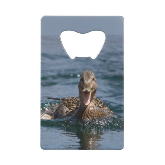 Canard avec bec ouvert (Dos)