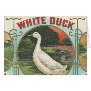 Canard blanc