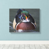 Canard branchu américain sur toile (Insitu (Plancher de Bois))