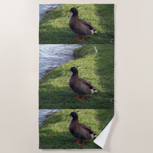 Canard coloré Brown, Serviette de plage (Devant)